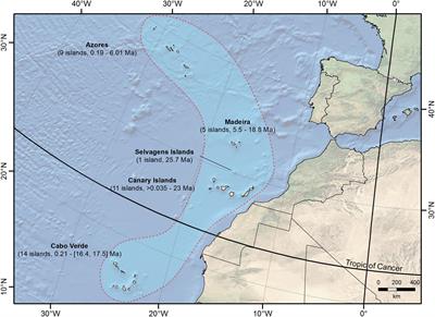 Macaronesia as a Fruitful Arena for Ecology, Evolution, and Conservation Biology